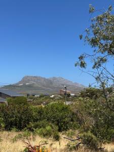 Sea and Vlei on Disa