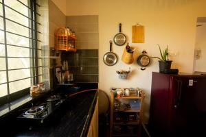 Barbados Tropical Studio by SiyaU