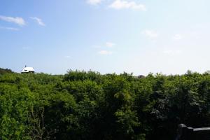 villa Flore, studios