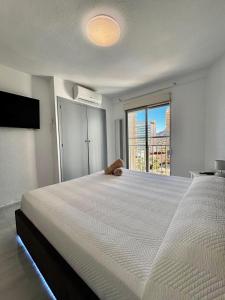 Casa Lidia 180º View