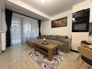 The View Apartment 2 Busteni