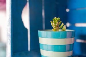 Casa Anita-relax e comodità img36