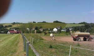 Appartment Huhle bei Dresden