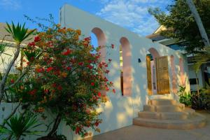 Fieldlight & Pool Villa 云上稻影