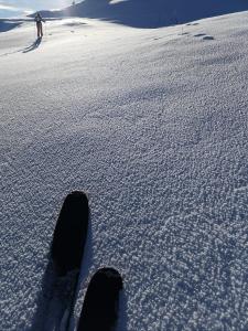 Ski in Ski out Portes du Soleil Champoussin