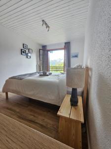 Ski in Ski out Portes du Soleil Champoussin