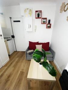 Elegant studio parisien Prestigiieux