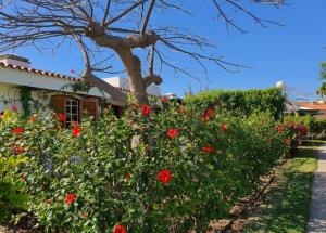 Villa Maspalomas Gran Canaria
