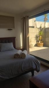 El oasis guanaqueros