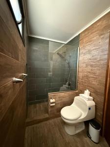 El oasis guanaqueros