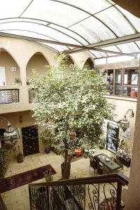 Auberge Ayam Atlas- pool 10mn away