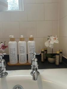 2-Bedroom Cozy Apt w parking and sunny garden