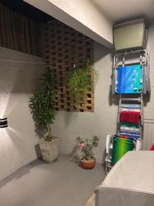 Vilarejo dos Milagres