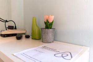 Appartamento Maserti in Cisanello