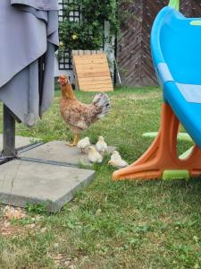 Modern and idyllic apartment