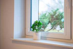 Podczele Seaside Comfort Studio by BookingHost