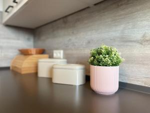 Apartment Rooftop Dresden - für 4 Gäste mit Parkplatz und 2 Balkone!