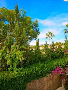 Appart Blanca Carrio - 3 chambres, piscine partagée
