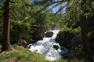 Hotels Le Chalet d'en Ho : photos des chambres