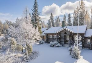 Villa Talvikolo - Spacious 2BR Cabin in Ruka with Private Sauna