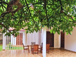 Blue Lotus Yoga House