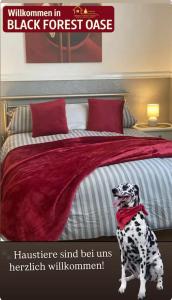Black Forest Oase