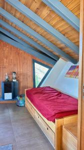 Estrellas de la Laguna