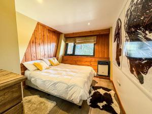 Estrellas de la Laguna