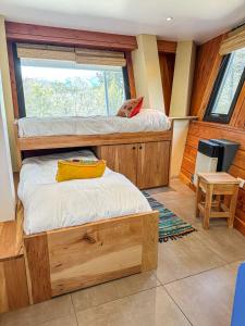 Estrellas de la Laguna