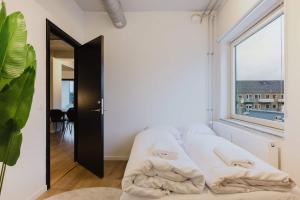 Norrebro big apt