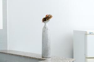 Appartamento in villa 5 posti letto