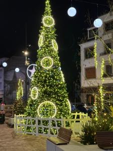 Magie Noël Private Parking Train to Strasbourg
