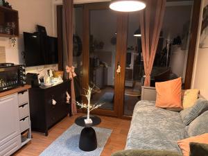 Studio Yellow Moon Borovi