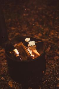 De Boskeet a rustic forest cottage, private forest garden and dogs welcome