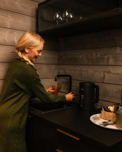 Lapland Winter Park Chalets