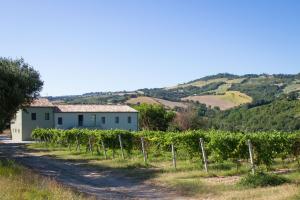 Italian Experience-Villa Zena