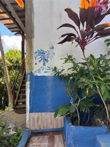 Casa Azul da Paz - Praia Tiririca, Itacaré