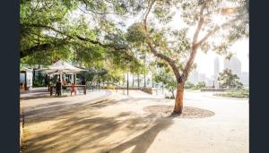 CBD Edge 1BR on Mounts Bay Road