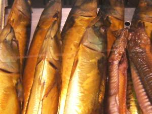 Haus Auf der Warft in Wangerland