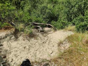 5 person holiday home in Fanø