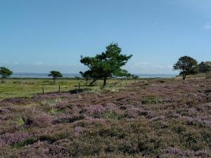5 person holiday home in Fanø