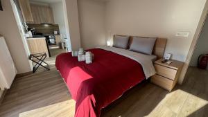 Karanasiou Apartment