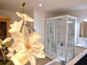 LE CELLIER - Sous-sol avec sauna et balnéo