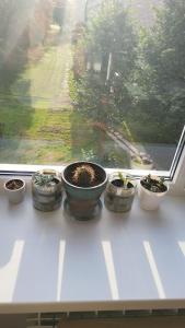 Sea Breeze Apartment