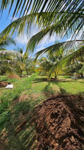The Farm Cottage - Anuradhapura