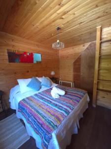 Carolin Cacao - Cabaña Nogal