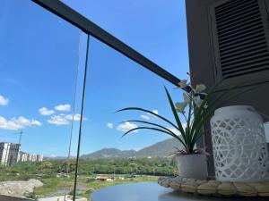 Patty del Mar Suites