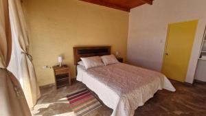 Eltoconar atacama Volcano Sightviews, Wineyard & Desertic nature