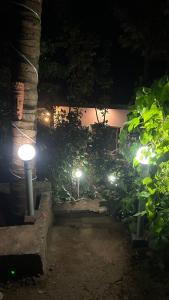 Homestay in coorg big stone hills