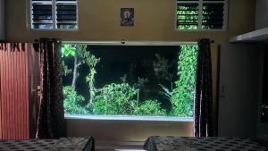 Homestay in coorg big stone hills